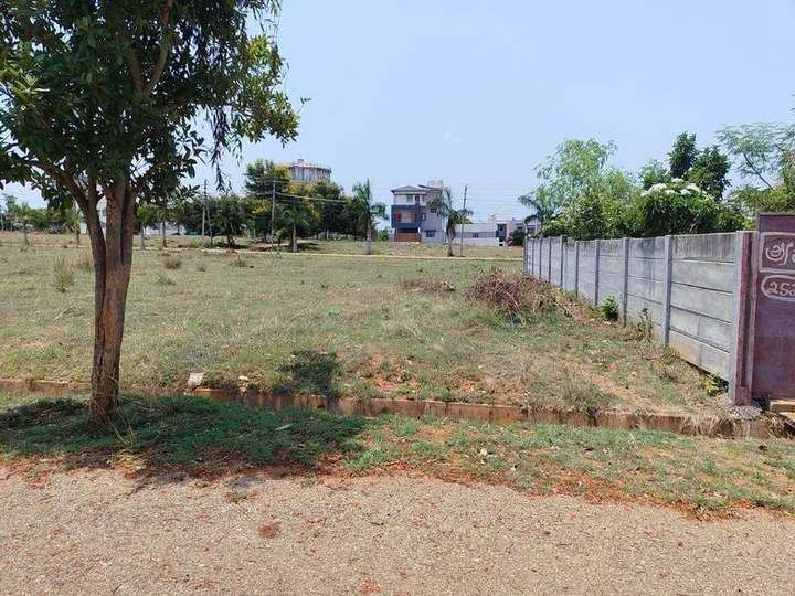 Plotted layout – open plot & boundary wall